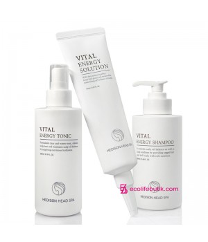 Complex of professional cleansing and scalp care Dr. Hedison Head Spa