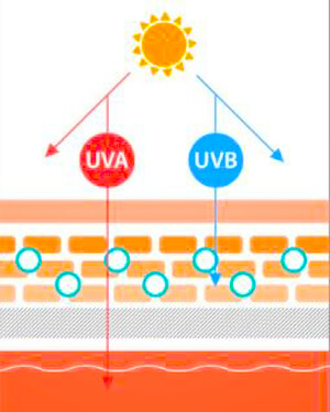 Sun Protection Dermaline Ultra Lightening Sun Screen SPF 50+ / PA +++