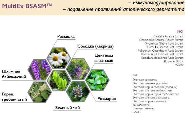 Complex of plant extracts MultiEX BSASM in the composition